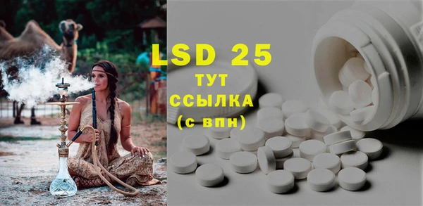 индика Данков